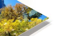Leavenworth  HD Metal print