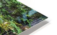 Colchuck lake trail HD Metal print
