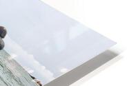 Costa Verde  HD Metal print