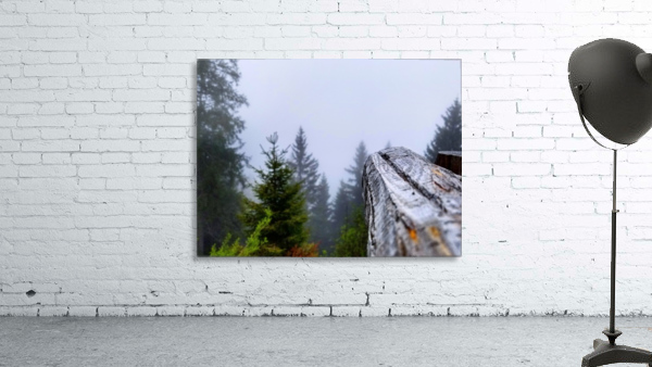 Mt Rigi Wall Preview