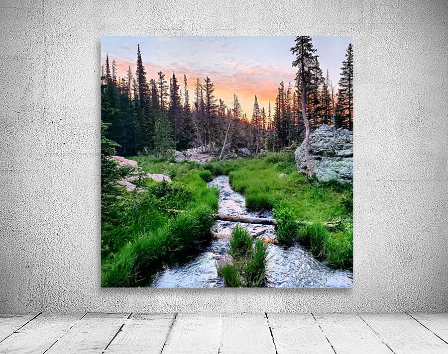 Bear Lake Trail Wall Preview