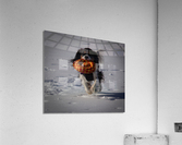 Fetch  Acrylic Print
