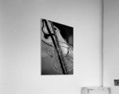 Refelctions Acrylic Print