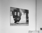 pigeon Acrylic Print