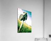 boot Acrylic Print