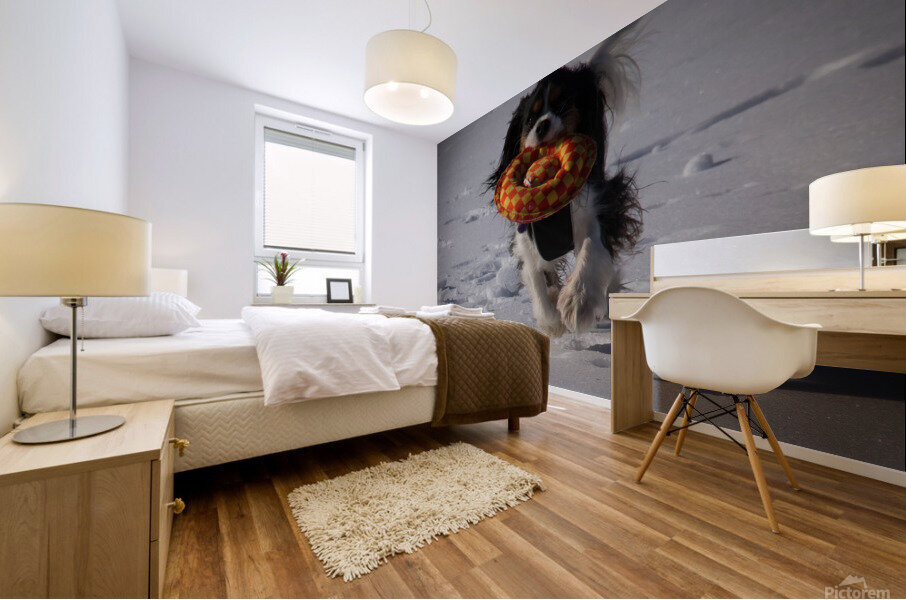 Fetch  Mural print
