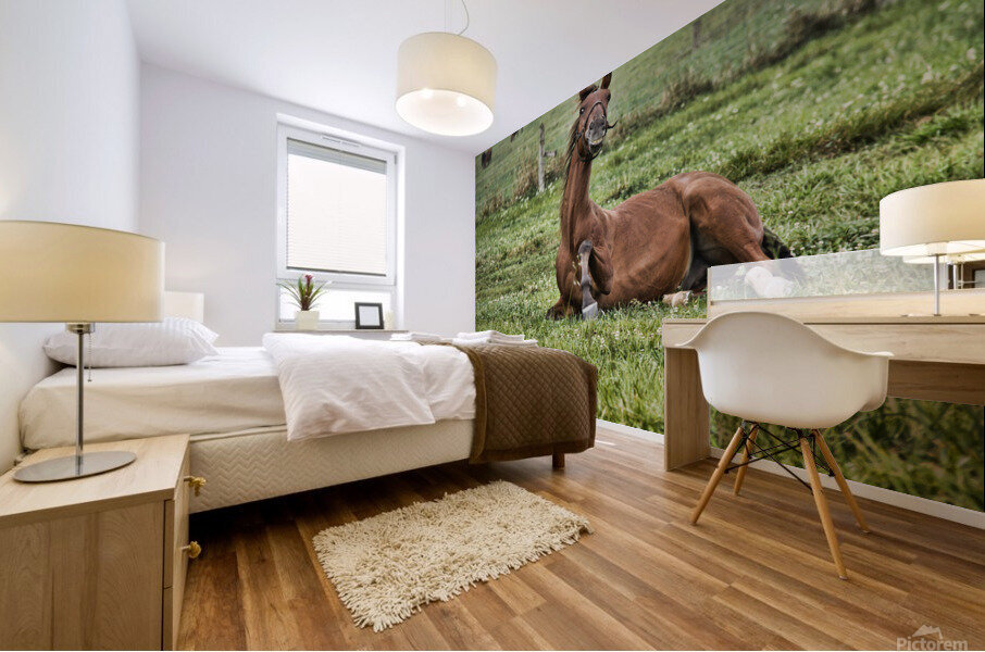 Say cheese Mural print