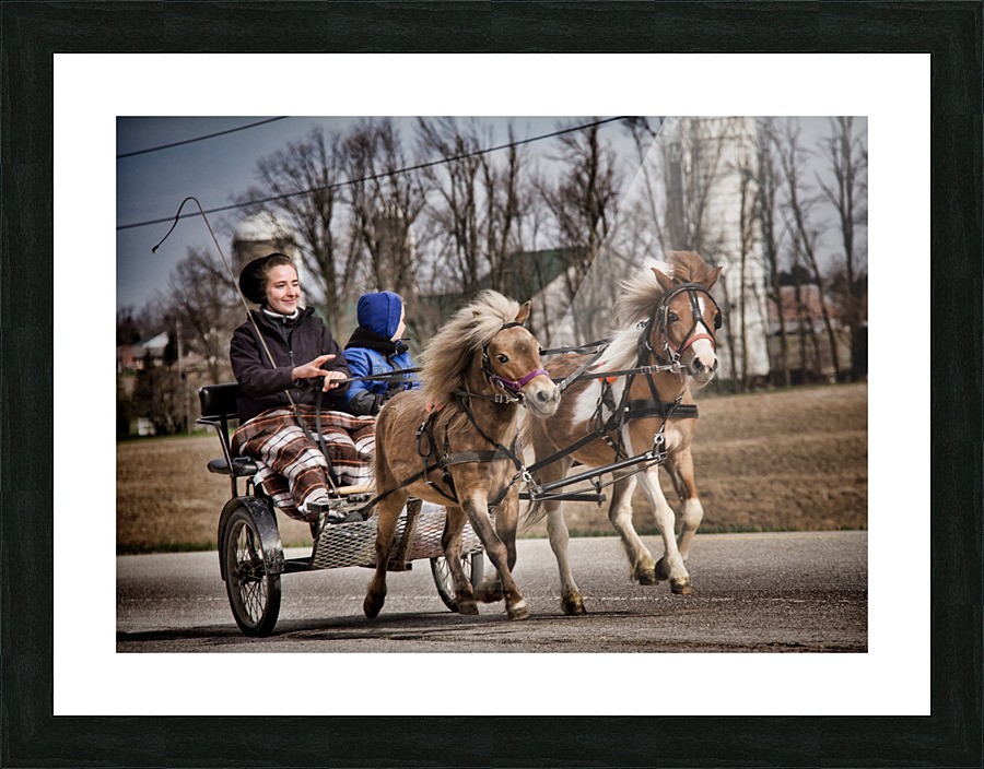 Buggy riding Picture Frame print
