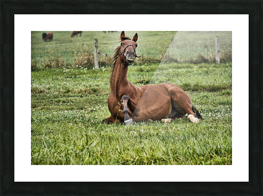 Say cheese Picture Frame print