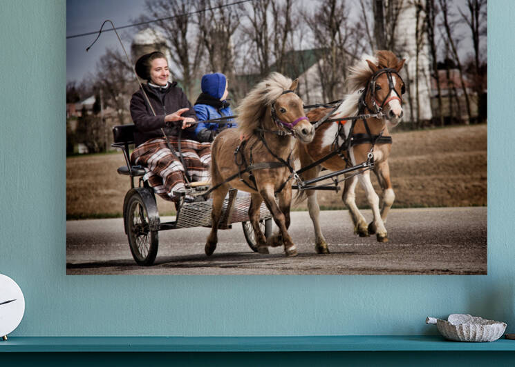 Buggy riding by Williams Photography