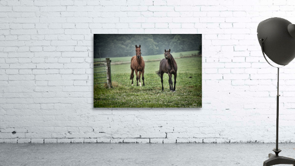 Smile for the camera Wall Preview