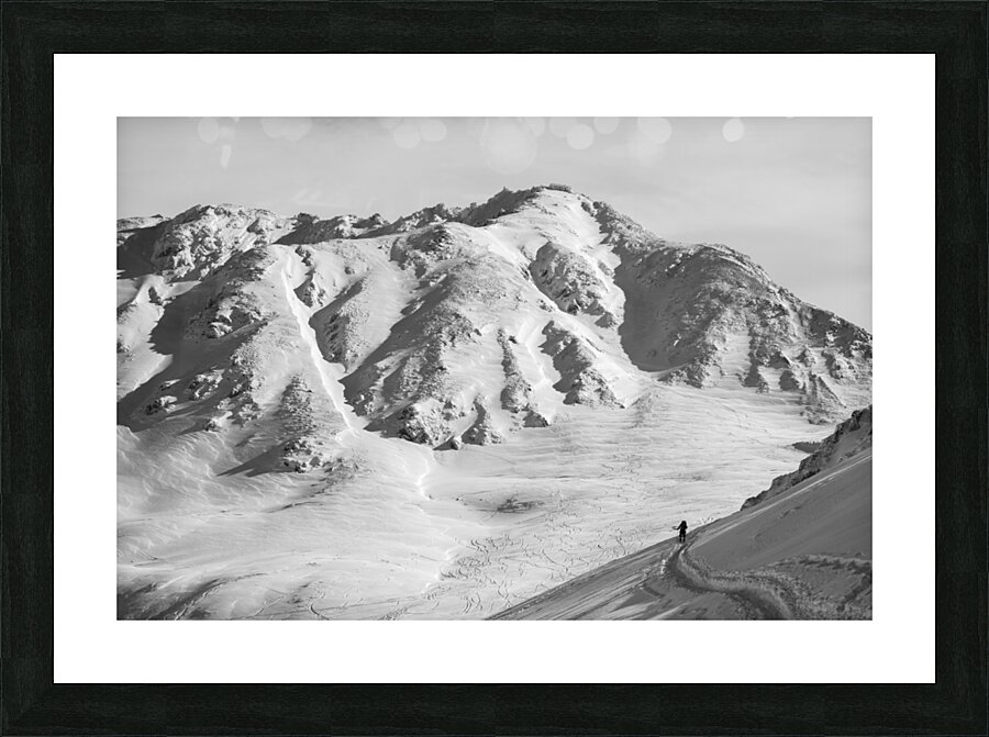 Fine Art print