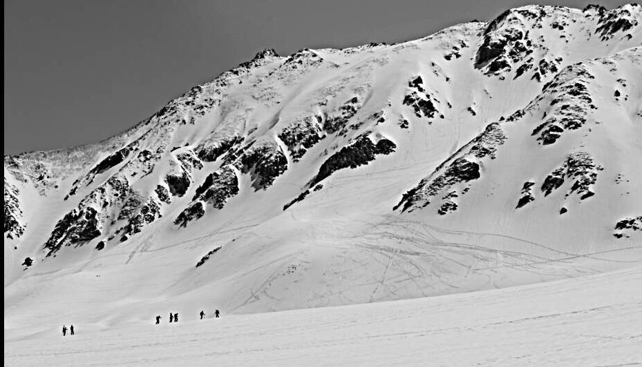 Scale by Bill Michaud