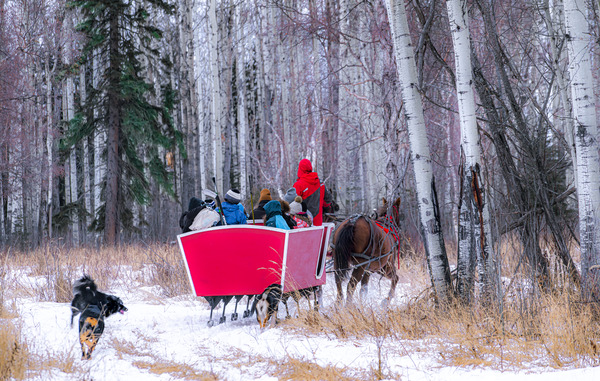 Chasing the Sleigh Digital Download