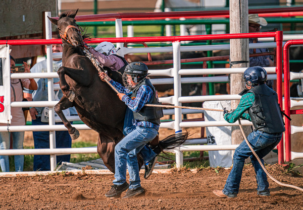 Rodeo Time Digital Download