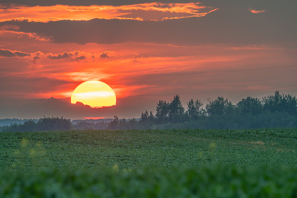 Setting Sun Digital Download