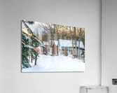 Bearskin Acrylic Print
