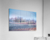 Decaying Homestead Acrylic Print