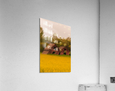 Lean On Me Acrylic Print