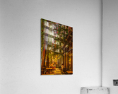 Sidewalk Cafe Acrylic Print