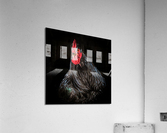 The Rooster Acrylic Print