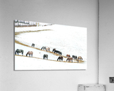 Grub Line Acrylic Print