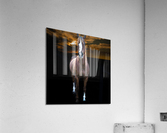 Horse Black Background Acrylic Print