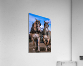 Teamwork Acrylic Print