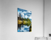 Beaver Pond Acrylic Print