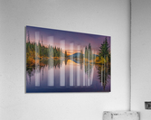 Bullmoose Marsh Acrylic Print