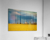 Canola Field Acrylic Print