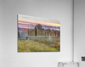 Evening Walk Acrylic Print