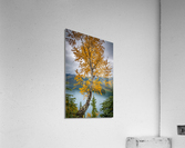 Lake Azouzetta Acrylic Print