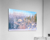 Natural Arrangement Acrylic Print