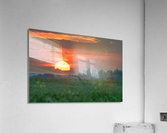 Setting Sun Acrylic Print
