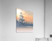Winter Serenity Acrylic Print