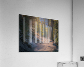 The Hiker Acrylic Print