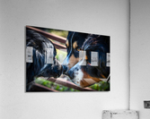 Getting to Know Each Other Acrylic Print