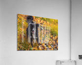 Loving Autumn Acrylic Print