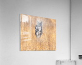 Happy Dog Acrylic Print