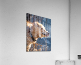 Shakin  All Over Acrylic Print