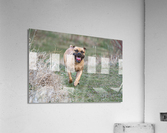 Smiley Acrylic Print