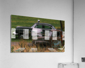 Busted Acrylic Print