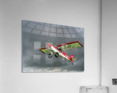 Gaining Altitude Acrylic Print