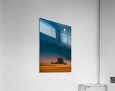 Night Harvest Acrylic Print