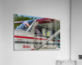 Rebel Acrylic Print