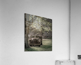 Under the Tree Acrylic Print