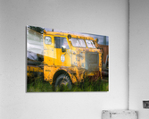 Yellow Beast Acrylic Print