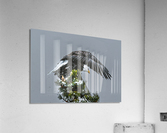 Bald Eagle Acrylic Print