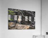 Grouse Acrylic Print
